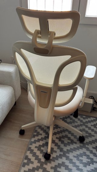 Silla ergonómica FlexiSpot BS5