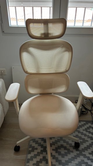 Silla ergonómica FlexiSpot BS5