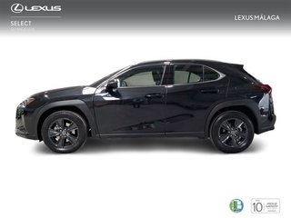 Lexus UX 2.0 250h Business City