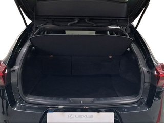 Lexus UX 2.0 250h Business City