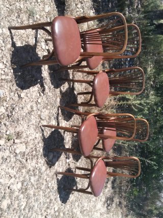 Sei sedie in legno stile Thonet