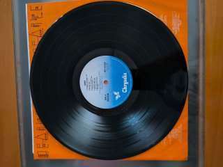 Vinilo Device