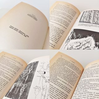 Libros desde 3€ VVAA (LEER Y VER FOTOS)