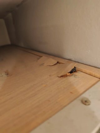 Armario de dormitorio con puertas correderas.