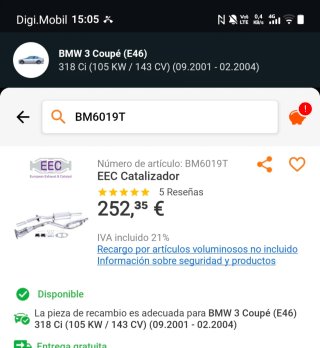 Catalizador BMW E46