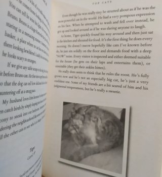 Me and my cat (English Edition) - Carmel Reilly 20