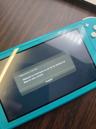 Nintendo Switch Lite LEER