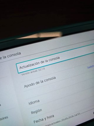 Nintendo Switch Lite LEER