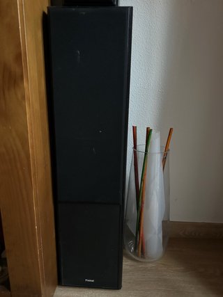 Altavoces Magnat Negros y Plateados