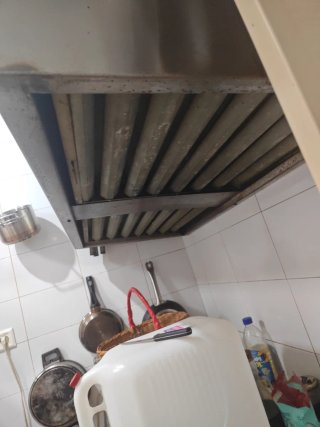 Campana extractora profesional