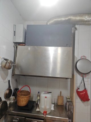 Campana extractora profesional
