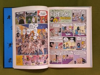CÓMIC LOS FREAK BROTHERS "TOTALMENTE PASADOS!"