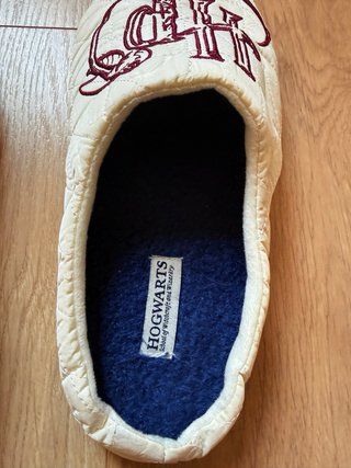 Zapatillas Casa Harry Potter