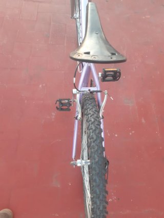 Bicicleta Avigo Flower
