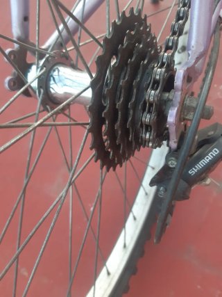 Bicicleta Avigo Flower