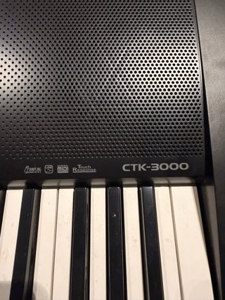 Teclado Casio CTK-3000