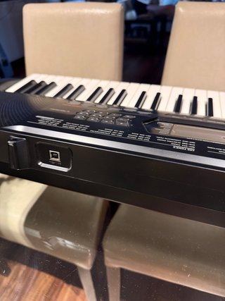 Teclado Casio CTK-3000