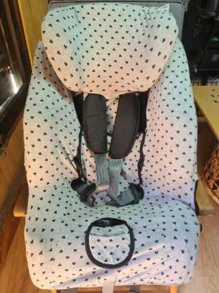 Silla de coche Klippan Century