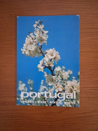 Portugal Inverno Hiver Winter Postcard