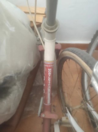 Bici Mobylette Paseo