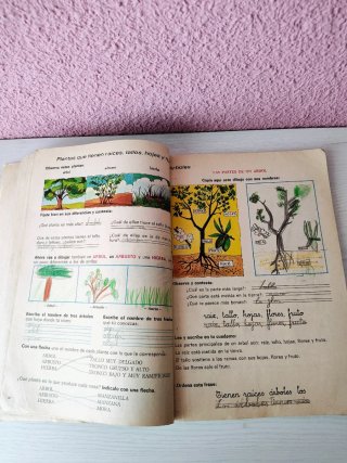 Libro EGB Cosmos 2