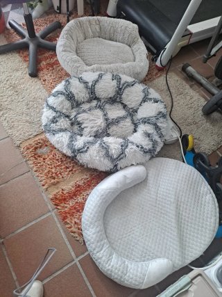 Lettini per cani piccoli quasi nuovi