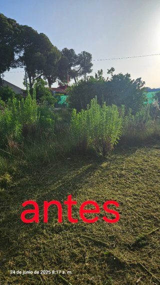 Servicio de desbroce de parcelas