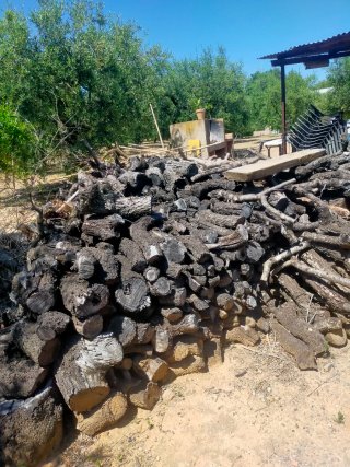 Leña de olivo y almendro 200 eros mil kilos