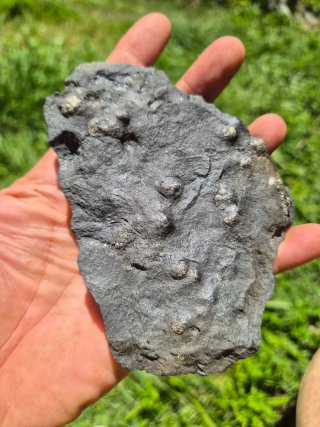 Mineral Pirita de Euskadi
