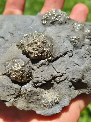 Mineral Pirita de Euskadi