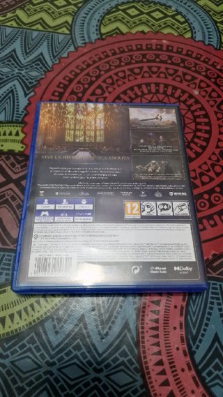 Hogwarts Legacy PS4 (PlayStation 4)