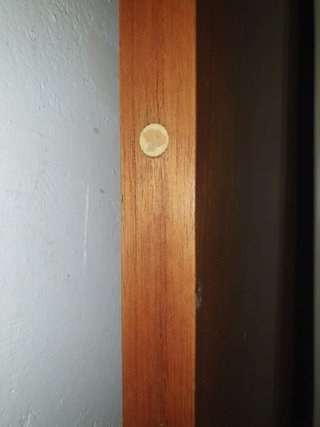 Puerta madera maciza con hueco para mascota