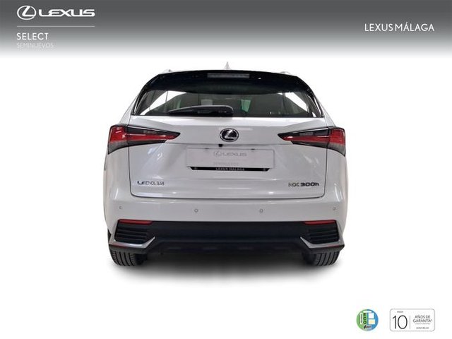 Lexus NX 2.5 300h Business Navigation 2WD