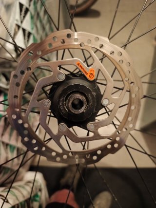 Ruedas MTB 29