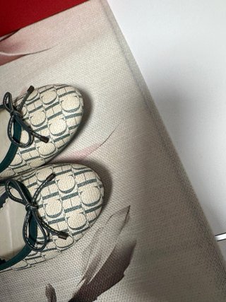 Manoletinas Carolina Herrera Beige/Verde