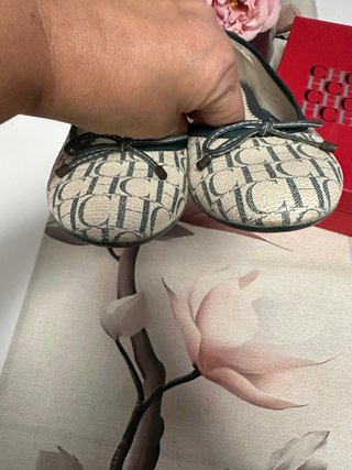 Manoletinas Carolina Herrera Beige/Verde