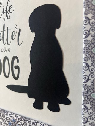 Quadretto Life is better with a dog