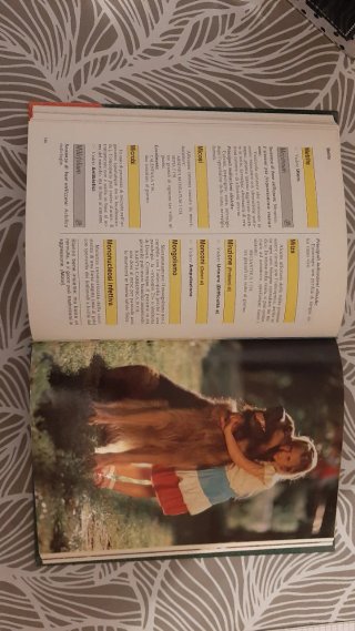 Guida all'omeopatia per la famiglia di A. Horville