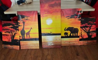 Cuadros decorativos de atardecer africano