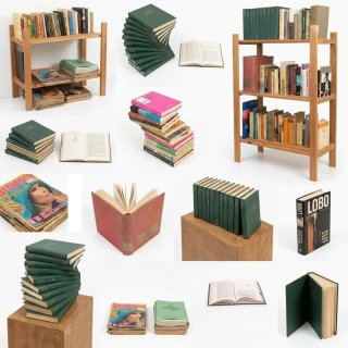 Lote Estantería Madera + Libros Vintage