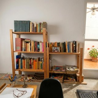 Lote Estantería Madera + Libros Vintage