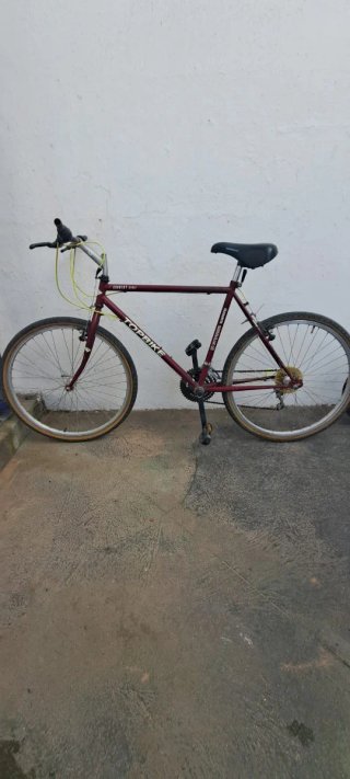 Lote Bicicletas Adulto y Niño
