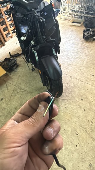 Sensor GTS mitt 2021