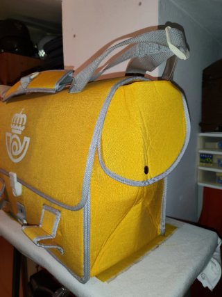 Bolsa de cartero amarilla