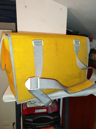 Bolsa de cartero amarilla