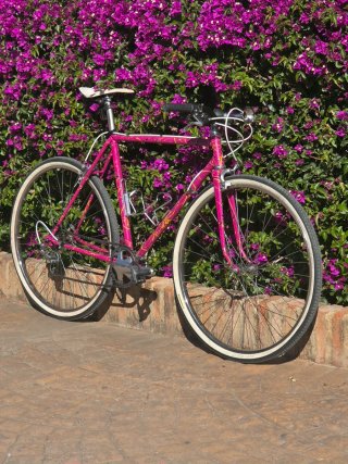 Bicicleta de paseo Fixie antigua vintaje