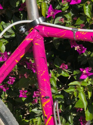 Bicicleta de paseo Fixie antigua vintaje