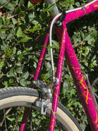 Bicicleta de paseo Fixie antigua vintaje
