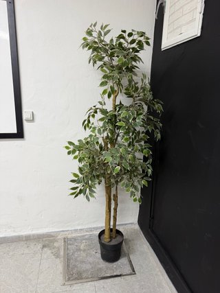 Planta artificial decorativa