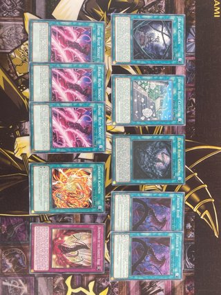 YUGIOH DECK - DRAGÓN DE LA ROSA NEGRA